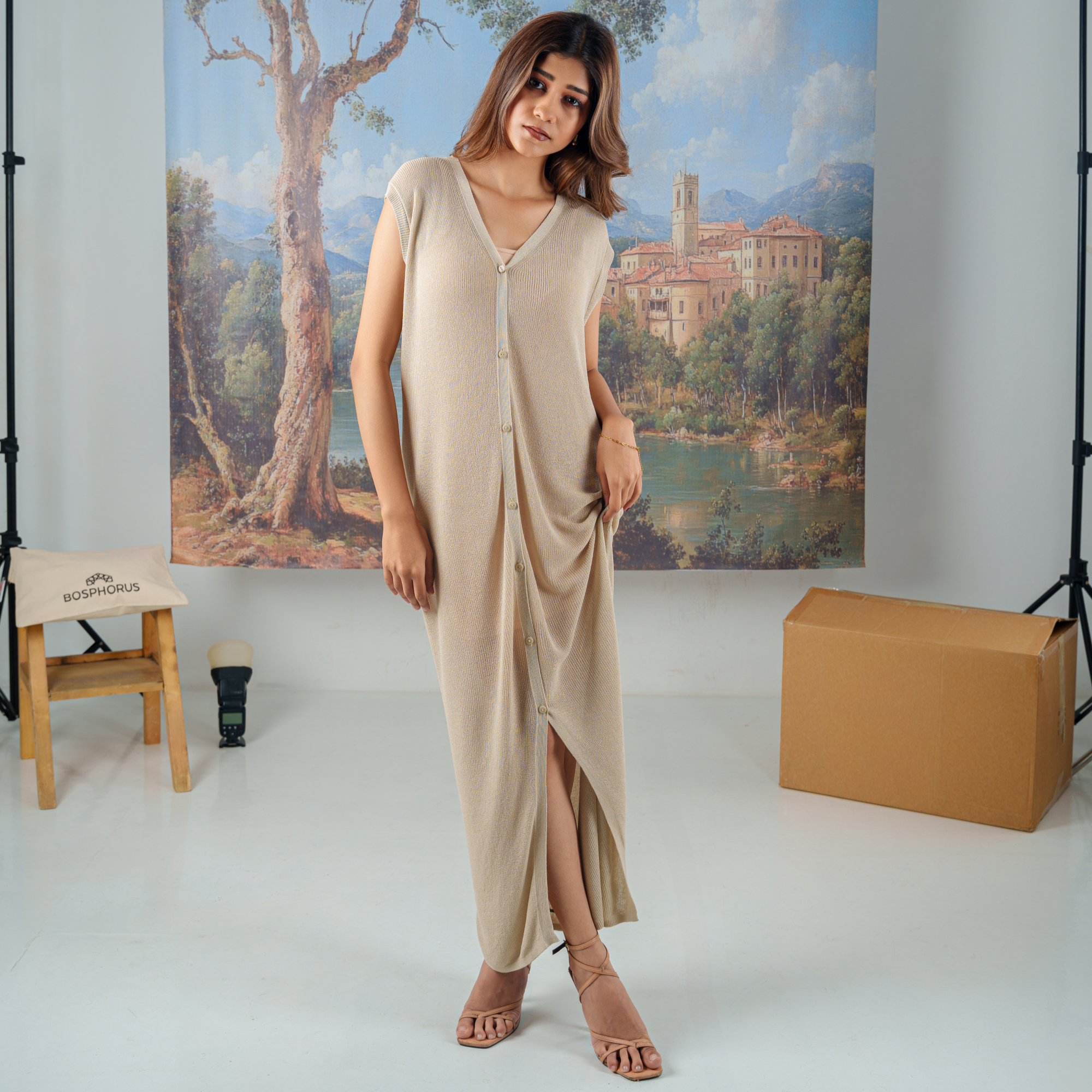 Vivian Beige Dress