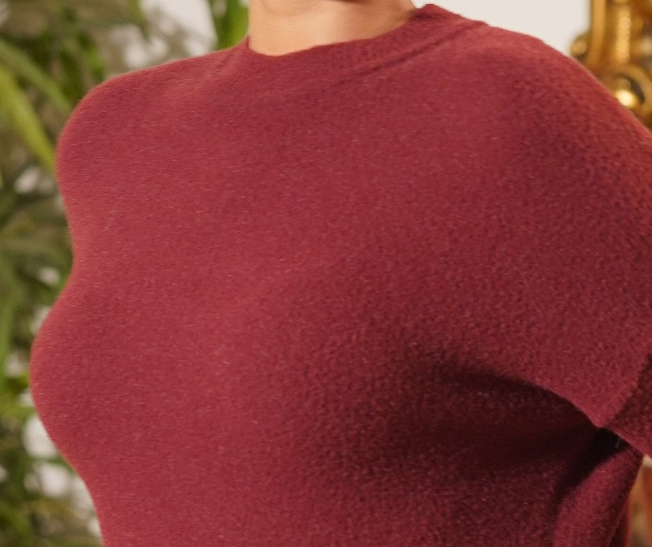 Bordeaux Cropped Textured Mock Neck Sweater